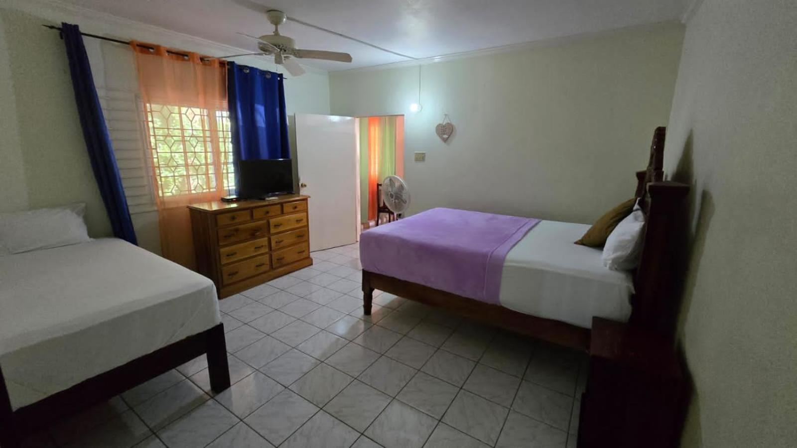 Wizzy Apartment White River Ocho Ríos Habitación foto